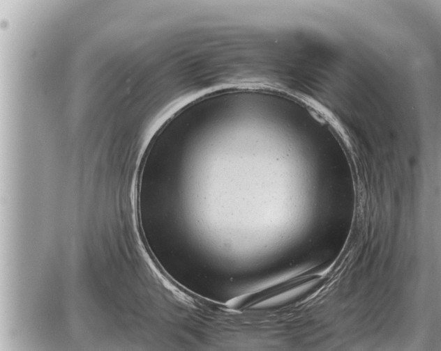 X0000087401343200705042026