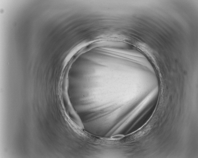 X0000087401344200705042026