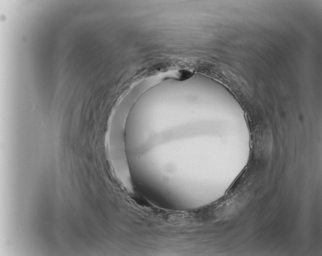 X0000087401345200705042025