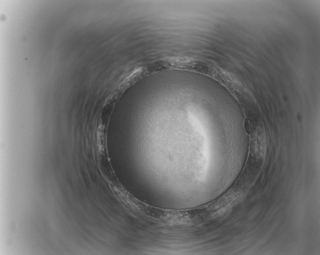 X0000087401346200705042025