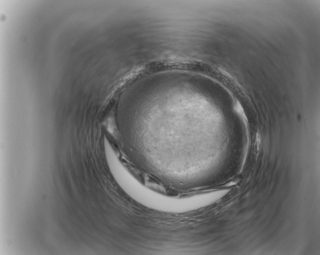 X0000087401348200705042025