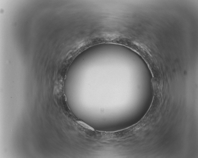 X0000087401349200705042025