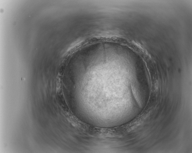 X0000087401350200705042025