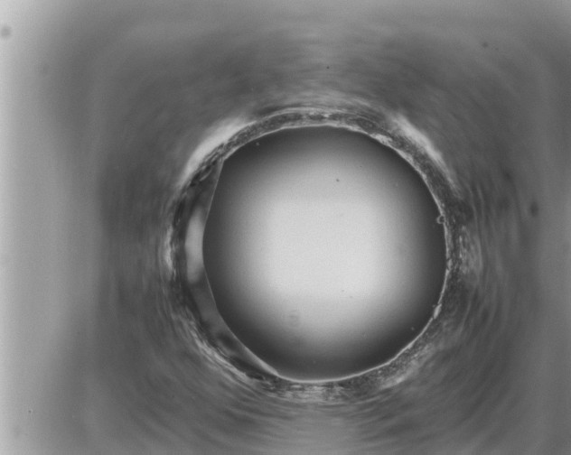 X0000087401352200705042025