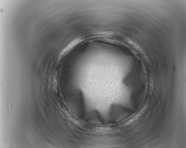 X0000087401354200705042025