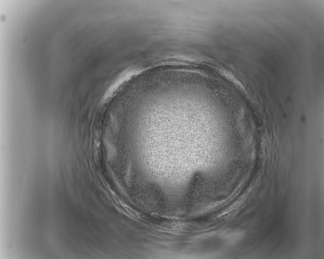 X0000087401355200705042025