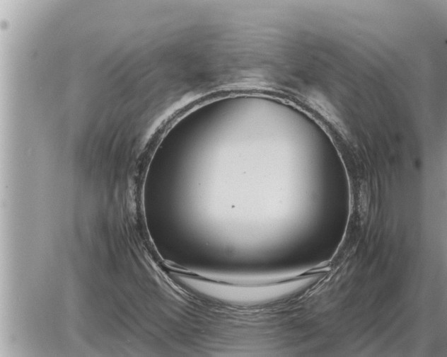 X0000087401356200705042025