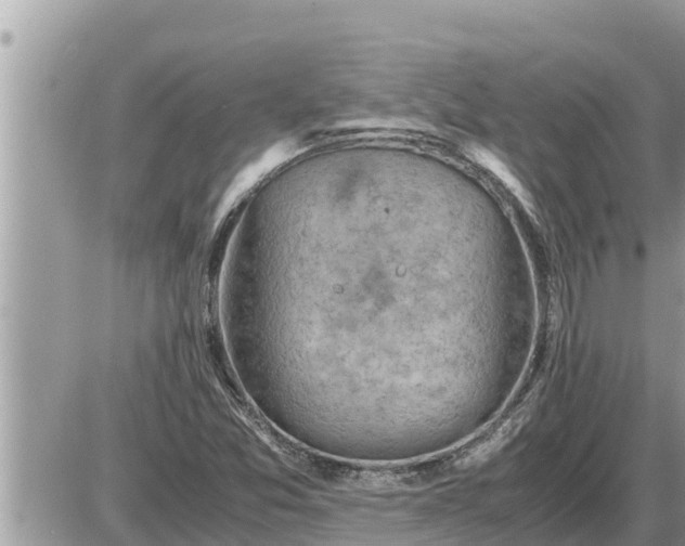 X0000087401357200705042025