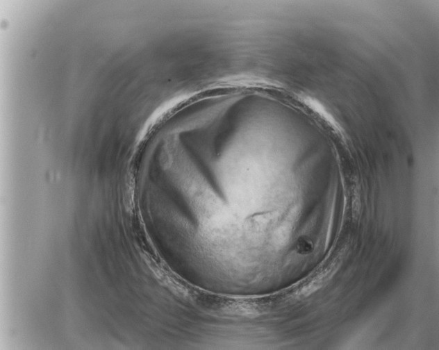 X0000087401358200705042025