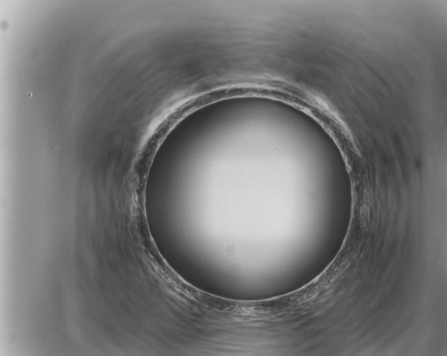 X0000087401360200705042025