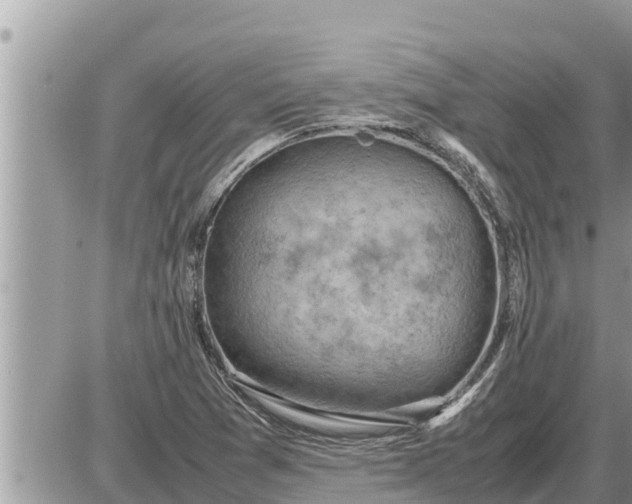 X0000087401361200705042025