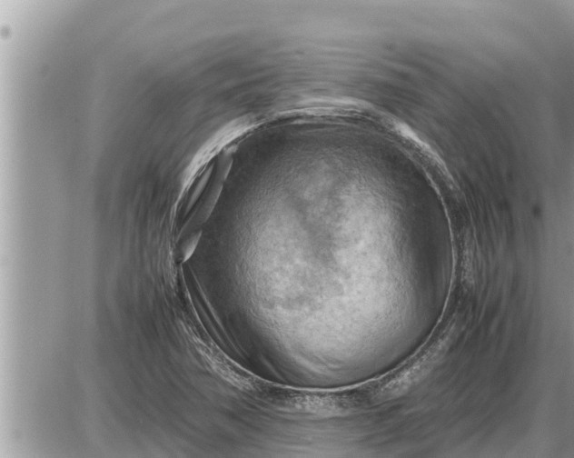 X0000087401362200705042025