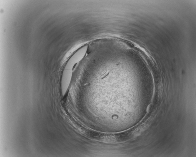 X0000087401363200705042025