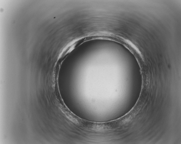 X0000087401364200705042025