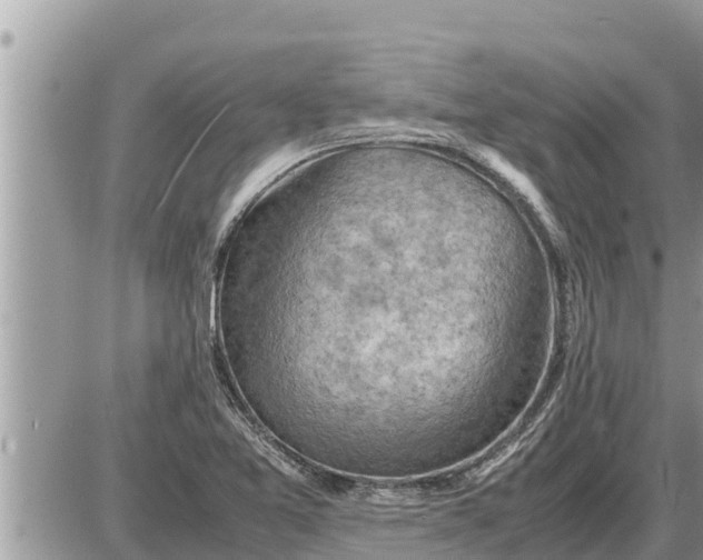 X0000087401365200705042025