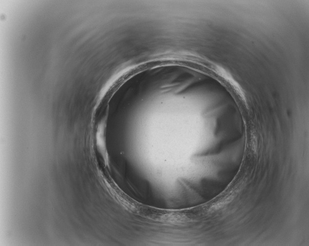 X0000087401368200705042025