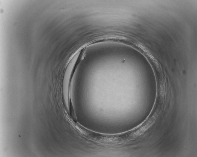 X0000087401369200705042025