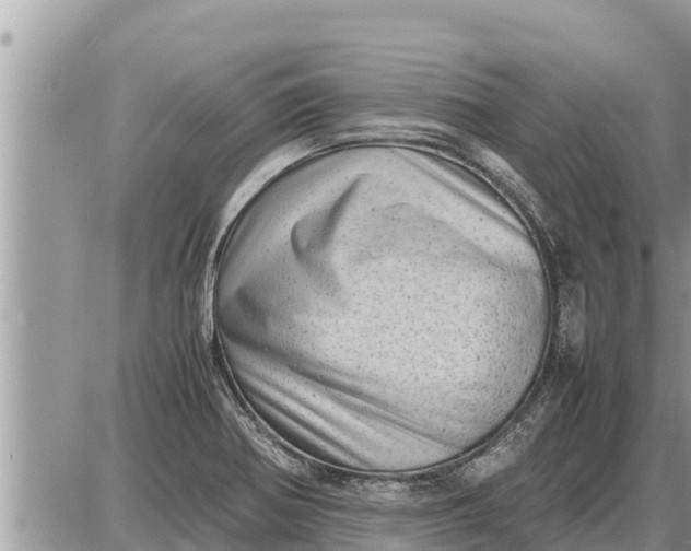 X0000087401370200705042025