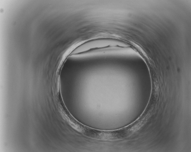 X0000087401371200705042025