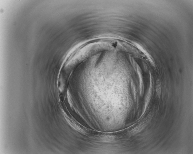 X0000087401372200705042025