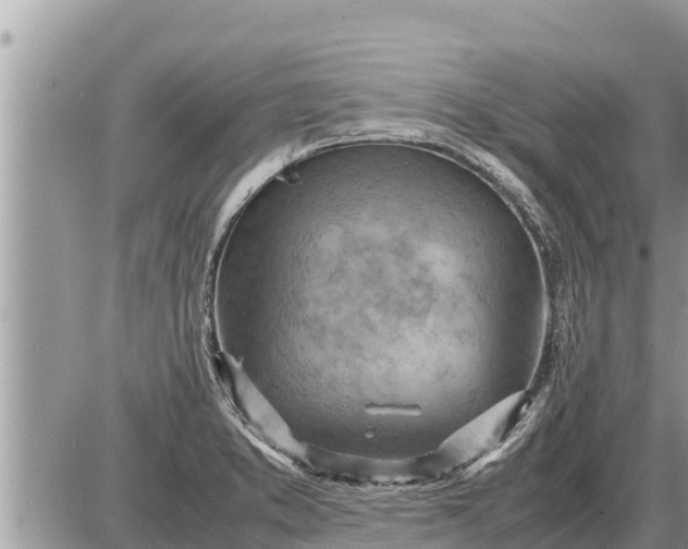 X0000087401373200705042025