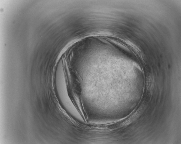 X0000087401374200705042025