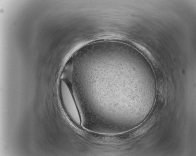 X0000087401375200705042025