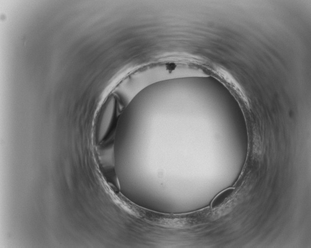 X0000087401376200705042025