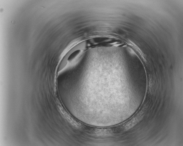 X0000087401378200705042025