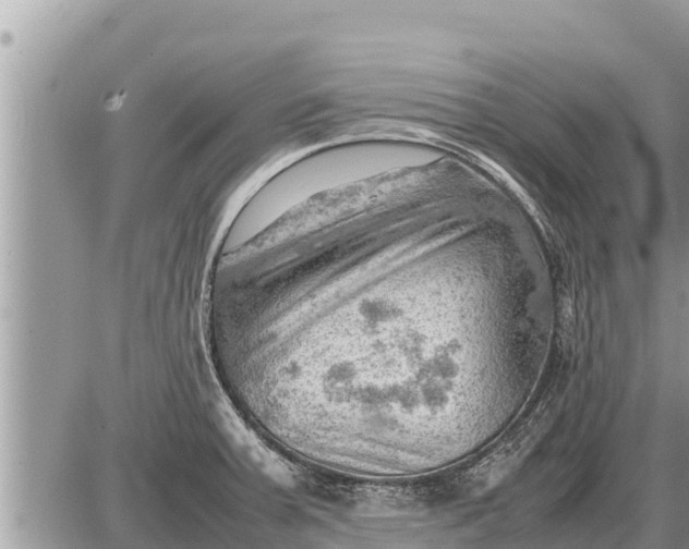 X0000087401379200705042025