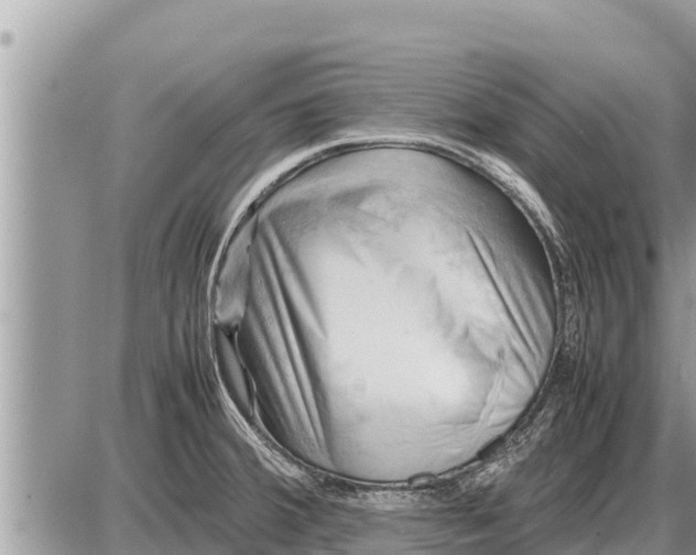 X0000087401380200705042024