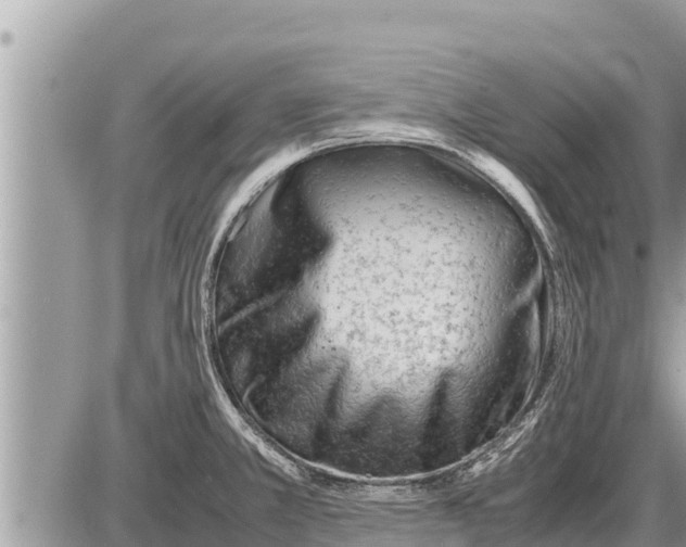 X0000087401381200705042024