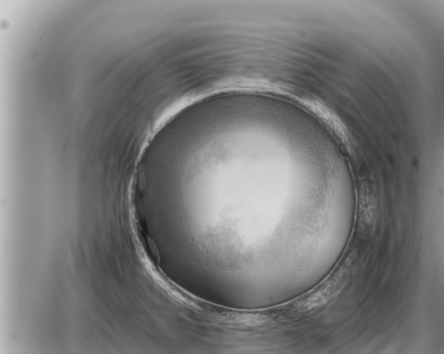 X0000087401382200705042024