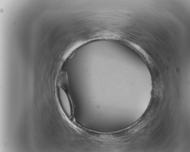 X0000087401383200705042024