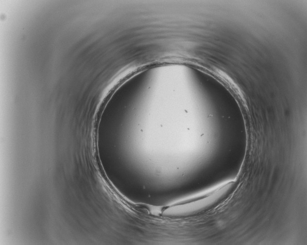 X0000087401384200705042024