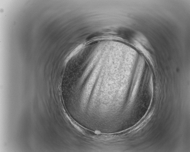 X0000087401385200705042024