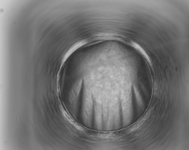 X0000087401386200705042024