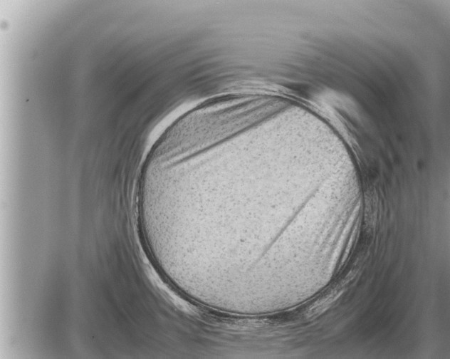 X0000087401387200705042024