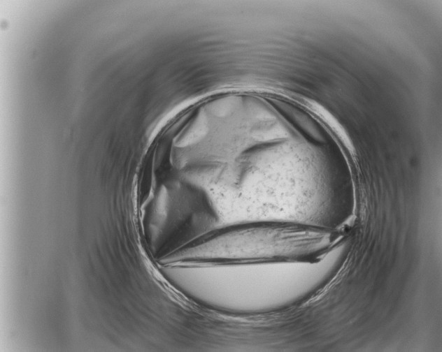 X0000087401388200705042024