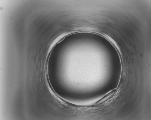 X0000087401389200705042024