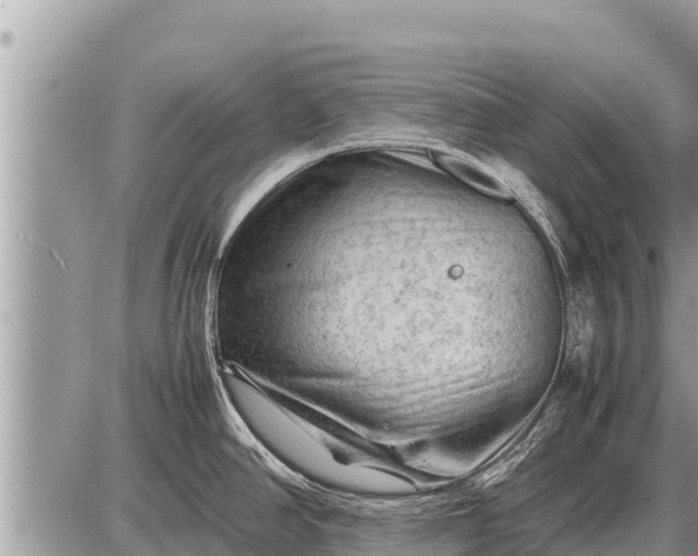 X0000087401390200705042024