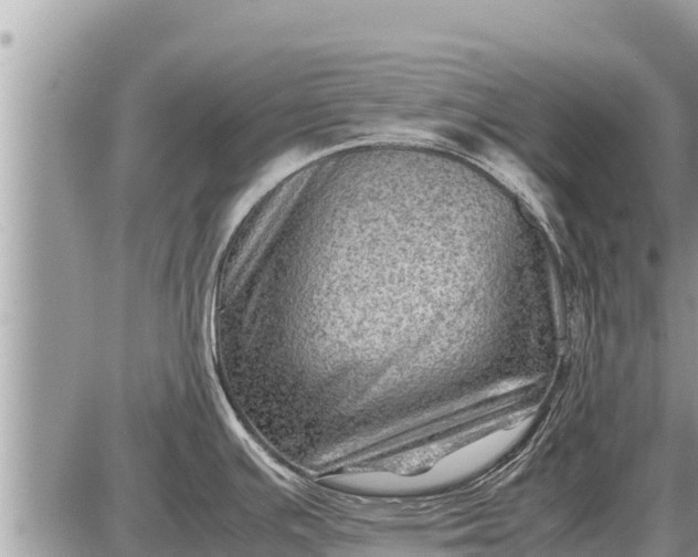 X0000087401391200705042024