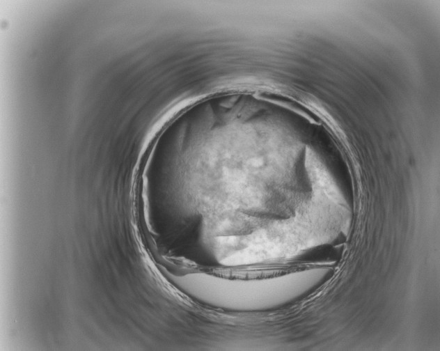 X0000087401392200705042024