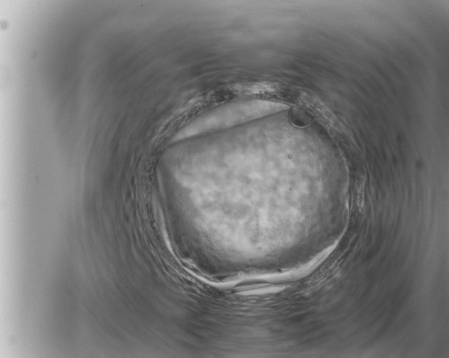 X0000087401393200705042024