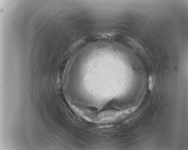 X0000087401395200705042024