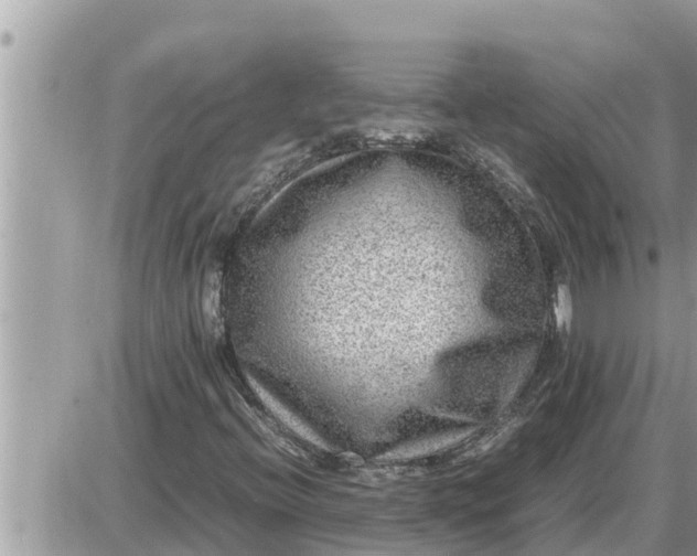 X0000087401396200705042024