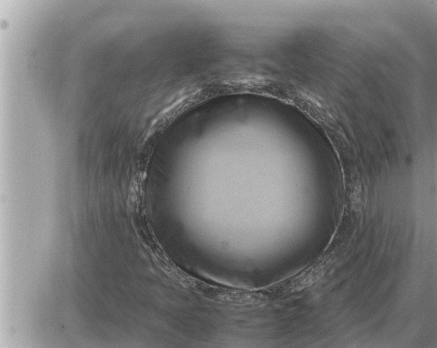 X0000087401397200705042024