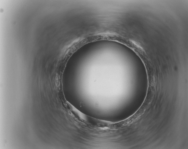 X0000087401398200705042024