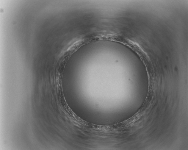 X0000087401399200705042024