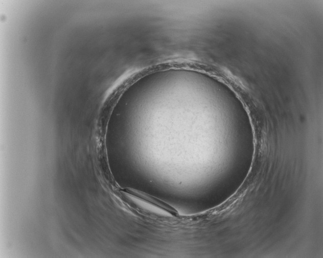 X0000087401400200705042024